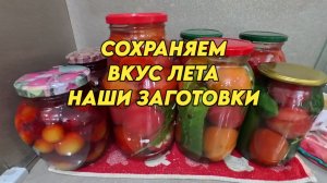 1188 Жизнь на юге после переезда/Делаю заготовки на зиму/Переехали на Кубань