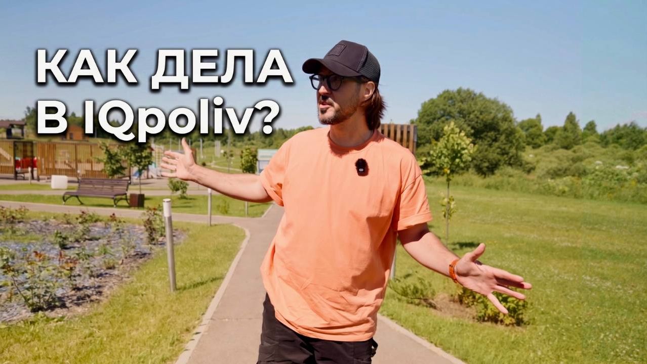 Откровенно о делах IQpoliv в июне 2026