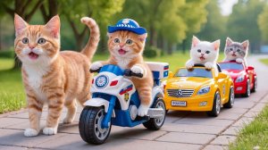 Мама-кошка и рыжий котенок сэкономили деньги и купили игрушечный мотоцикл мечты котен