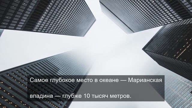 Приморские песни для ваших ушей 7 смотреть онлайн