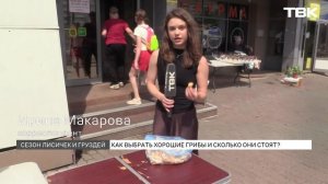Грибной сезон начался в Красноярском крае