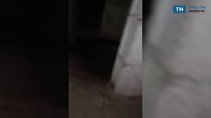 Туляки пожаловались на свинарник в подвале дома на Макаренко