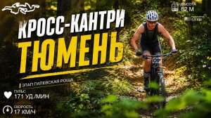 Кросс-кантри Тюмень. Гилевская роща. Ели успели.