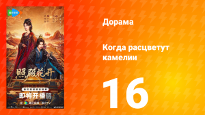 Когда расцветут камелии 16 серия