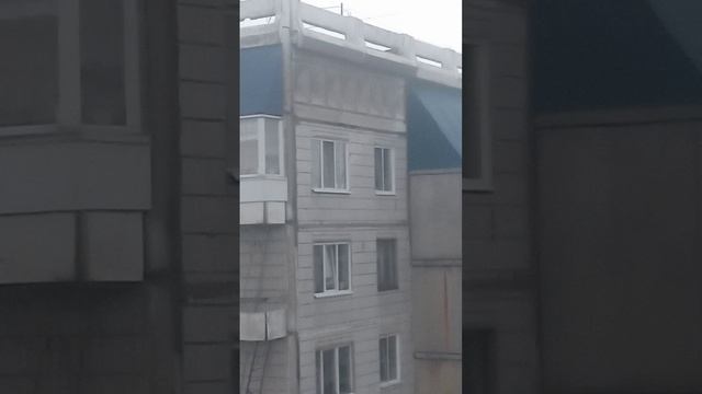 Два дня дожди проливные! смотреть онлайн