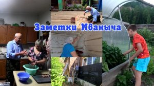Деревенское сафари: первая малина, побелка бани, утепление дома и котлеты с душой