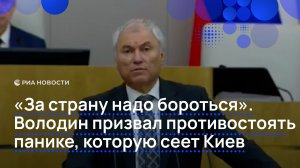 «За страну надо бороться». Володин призвал противостоять панике, которую сеет Киев