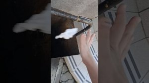 Мы не дождались котика 🐱🐱🐱...