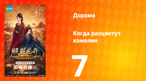 Когда расцветут камелии 7 серия