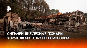 Лесные пожары исторических масштабов выжигают Европу