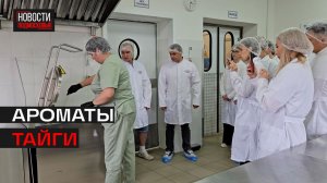 Развитие производства по переработке дикоросов со всей России