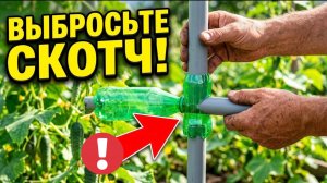 ВЕЧНАЯ ШПАЛЕРА для ОГУРЦОВ БЕЗ СКОТЧА! Гениальный трюк с пластиковой бутылкой