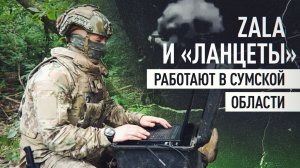 Расчёты ZALA и «Ланцетов» уничтожают технику и живую силу ВСУ в Сумской области