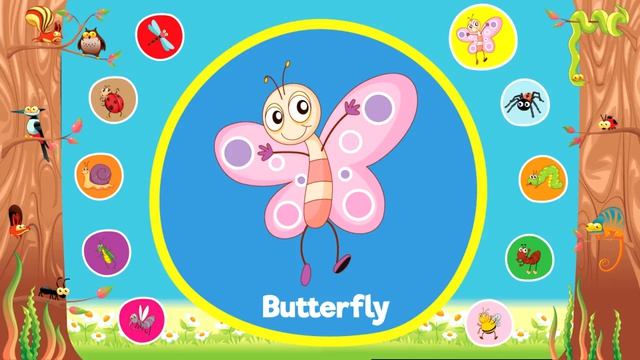 Learn Bugs & Insects For Kids _ Video Flash Cards _ Kindergarten, Preschool & ESL _ Fun Kids English