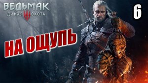 НА ОЩУПЬ | Ведьмак 3 / The Witcher 3: Wild Hunt | #6
