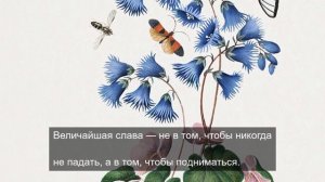 Приморские песни для ваших ушей 18