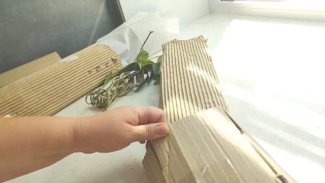 Неожиданно Распаковка! Там говорит деточка бантика!!! Ага щаЗ! Там 3 орхидеи. (1) смотреть онлайн