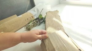 Неожиданно Распаковка! Там говорит деточка бантика!!! Ага щаЗ! Там 3 орхидеи.  (1)