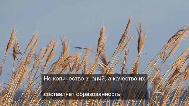 Приморские песни для ваших ушей 9 смотреть онлайн