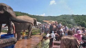 В Сочи сейчас отдыхают 170 тысяч человек