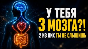 У тебя не один мозг, а три. И два из них ты не слышишь