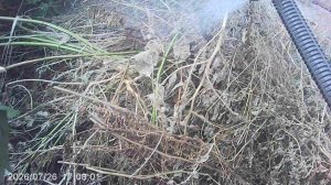 Орошение нашей большой компостной кучи с ускорением компостирования