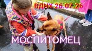Была на выставке животных из приютов «Зоорассвет» и «Зеленоград» на ВДНХ