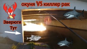 НАШЁЛ СТАЮ ОКУНЯ НА КАЖДОМ ЗАБРОСЕ РЫБА РЫБАЛКА НА ХИМКИНСКОМ ВДХР