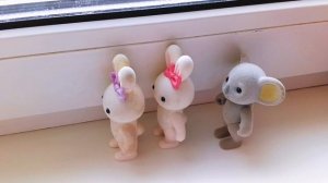 Малыши сильвашки играют в актёров