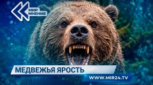 С чем связаны участившиеся случаи нападения медведей на людей?