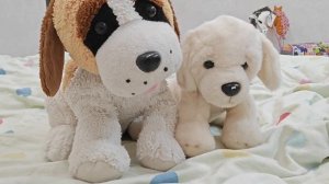 мне заказали Дугласа! длинное видео 😙♥️
