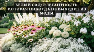 Белый сад: Элегантность, которая никогда не выходит из моды.🌼