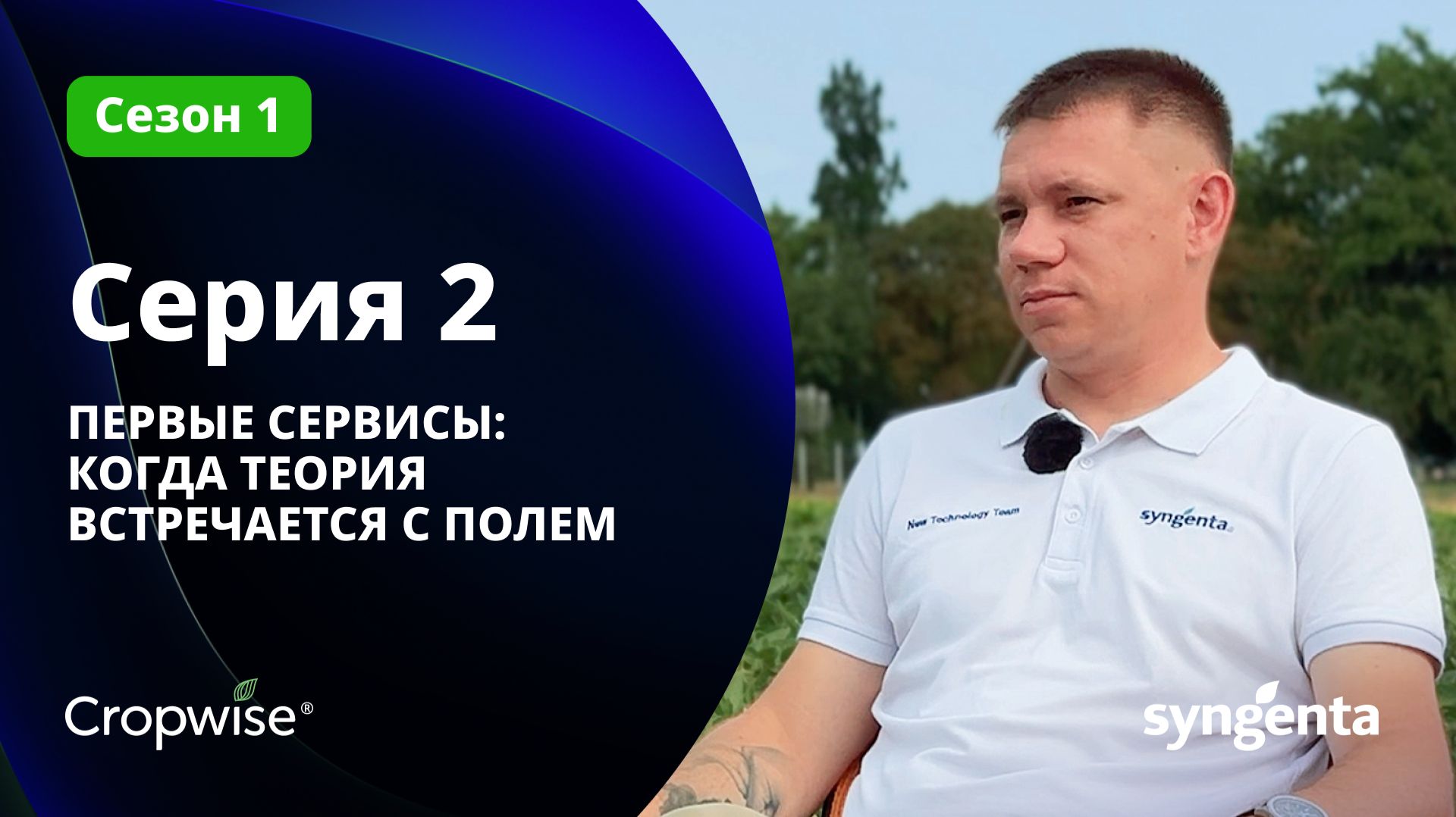 ПЕРВЫЕ СЕРВИСЫ: КОГДА ТЕОРИЯ ВСТРЕЧАЕТСЯ С ПОЛЕМ