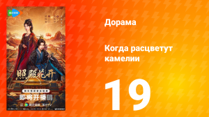 Когда расцветут камелии 19 серия