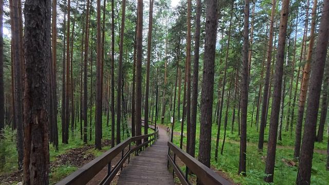 Лесопарк «Гремячая Грива» г. Красноярск 27.07.2026г.