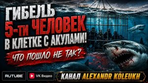 5 Человек погибли в клетках с акулами! Что пошло не так?