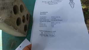 Пчеломатки 27.07.2026г.