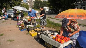 Копейские садоводы продают излишки урожая