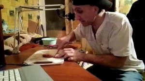 Коты на кухне