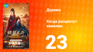 Когда расцветут камелии 23 серия