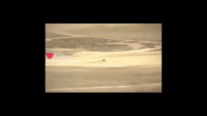 scary baboon likes part 1