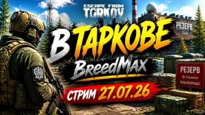 Новичок в Таркове. Стрим 27.07.2026