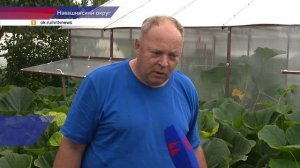Юный агроном растит тыкву для конкурса «Битва гигантов»