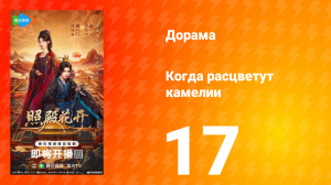 Когда расцветут камелии 17 серия