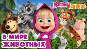 Маша и Медведь | Смешная игра - Маша и Медведь про темный лес! Маша бегает по лесу и собирает конфет