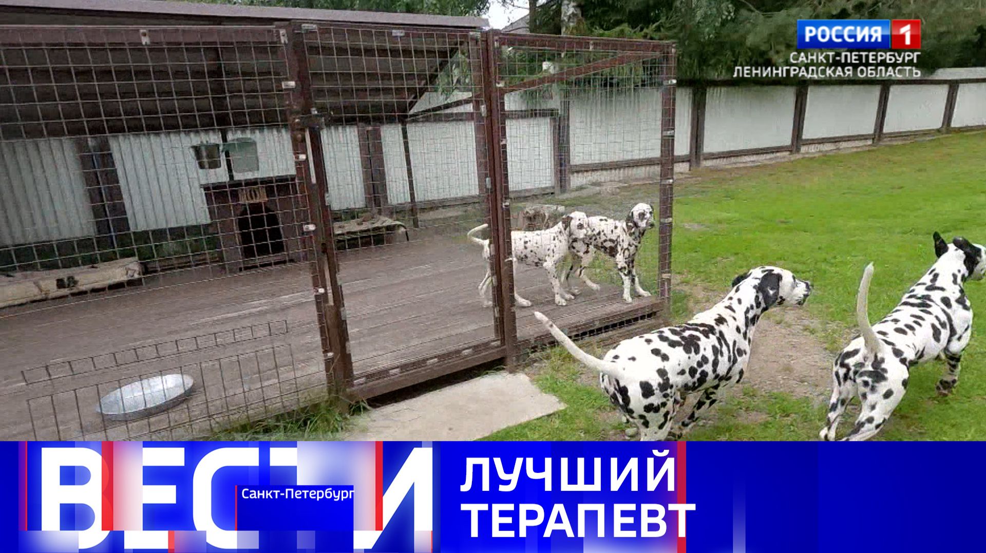 Вести Санкт-Петербург. Выпуск 11.30 от 27.07.2026 смотреть онлайн