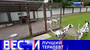Вести Санкт-Петербург. Выпуск 11.30 от 27.07.2026