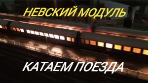 Поезда Невского модуля