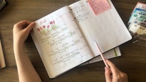 Длинное денежное распределение по системе 50/30/20