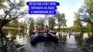 Аномальный уровень воды затопил живописный лес - Едем сквозь деревья на лодке!
